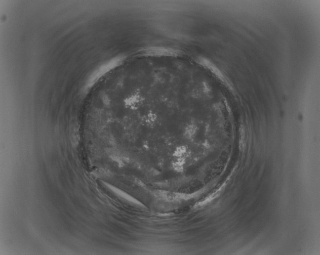 X0000082741213200702091855