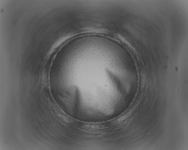 X0000082741215200702091855