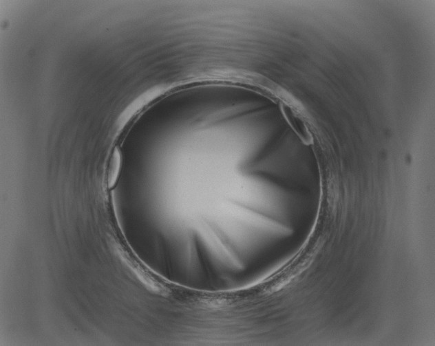 X0000082741230200702091855