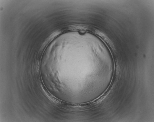 X0000082741233200702091855