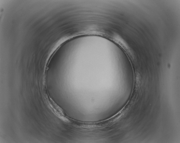 X0000082741236200702091855