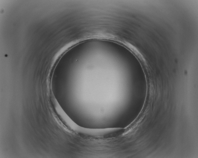 X0000082741238200702091855