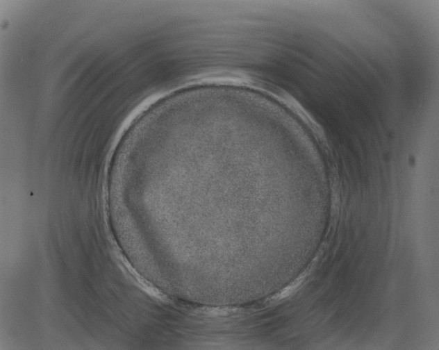 X0000082741240200702091855