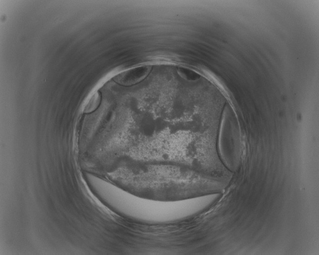 X0000082741243200702091855