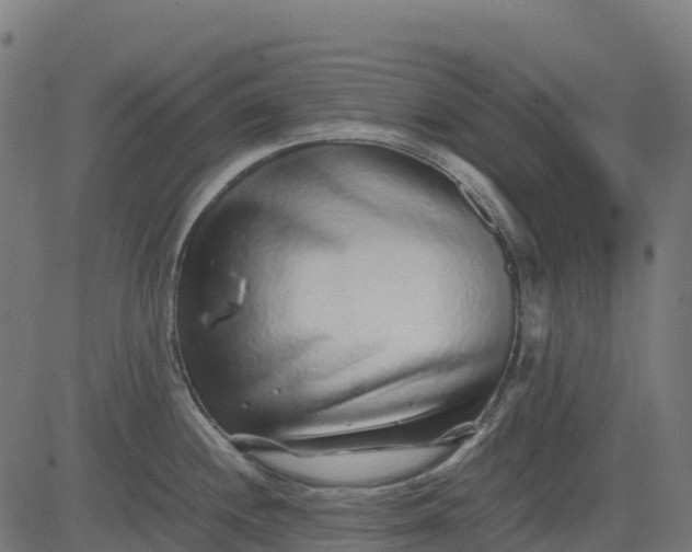 X0000082741244200702091855
