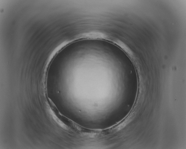 X0000082741248200702091855