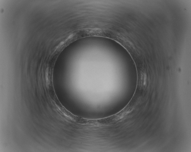 X0000082741250200702091854