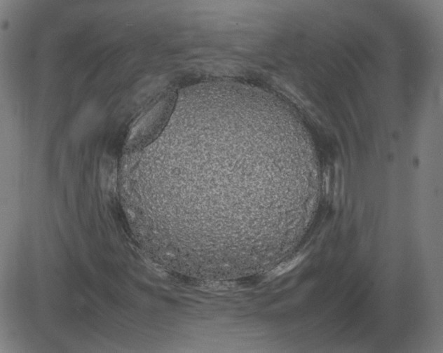 X0000082741251200702091854