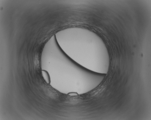 X0000082741252200702091854