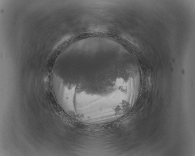 X0000082741254200702091854