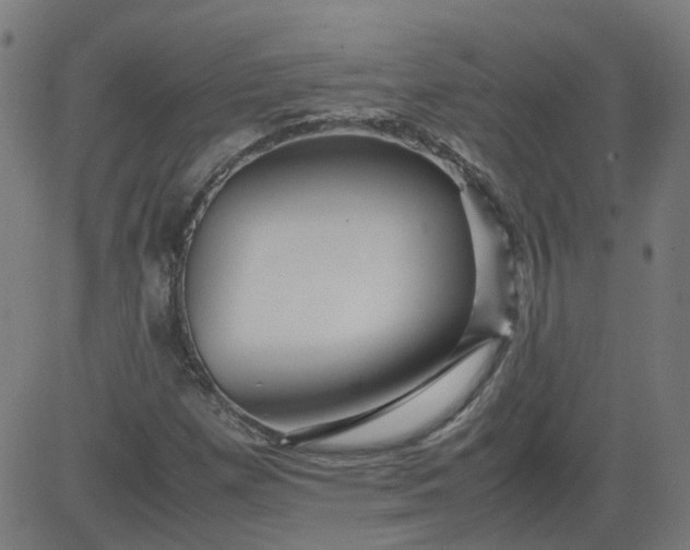 X0000082741257200702091854
