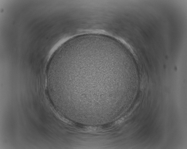 X0000082741271200702091854
