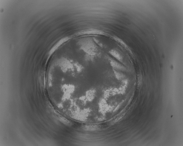 X0000082741274200702091854
