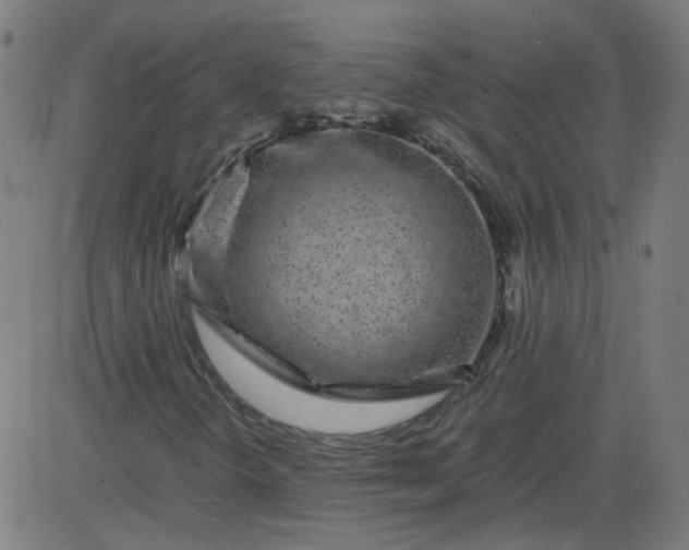 X0000082741298200702091853