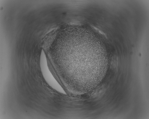 X0000082741301200702091853