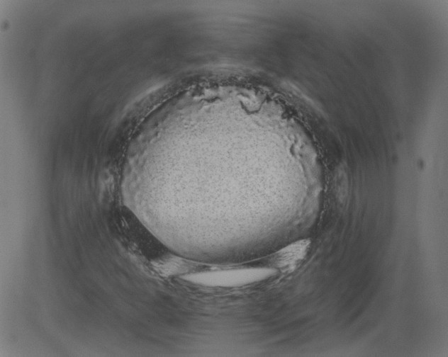 X0000082741302200702091853