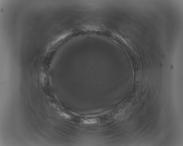 X0000082741303200702091853