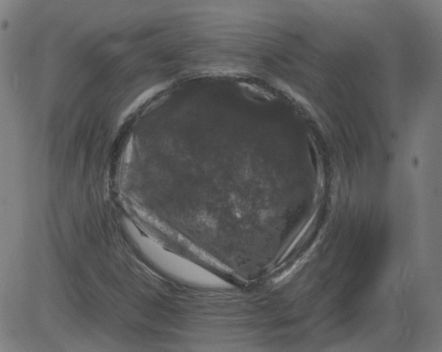 X0000082741306200702091853