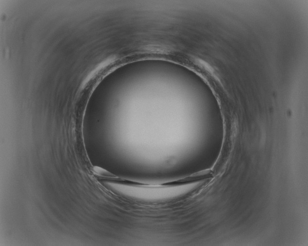 X0000082741307200702091853