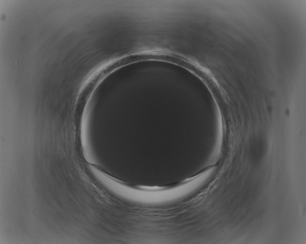 X0000082741319200702091853