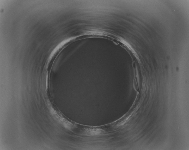 X0000082741323200702091853