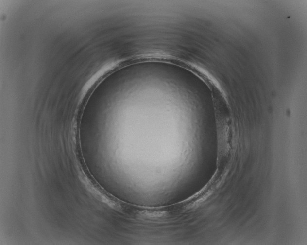 X0000082741325200702091853