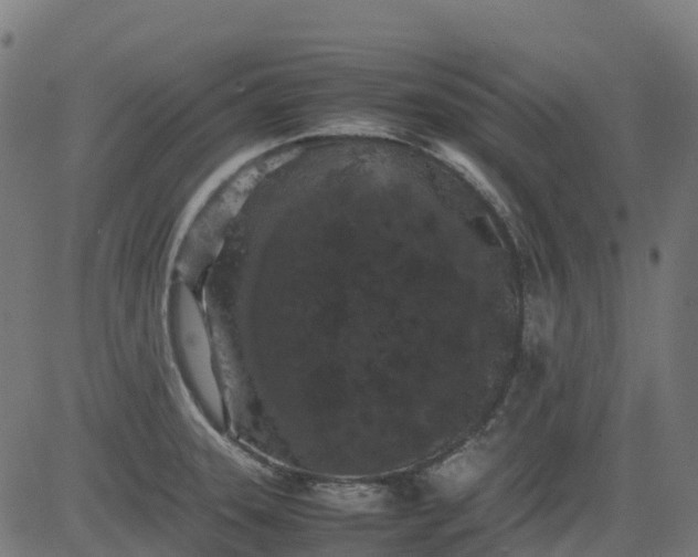 X0000082741331200702091853