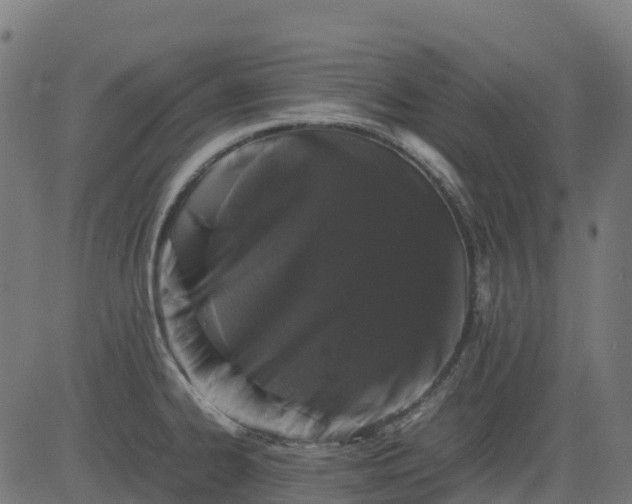 X0000082741334200702091853