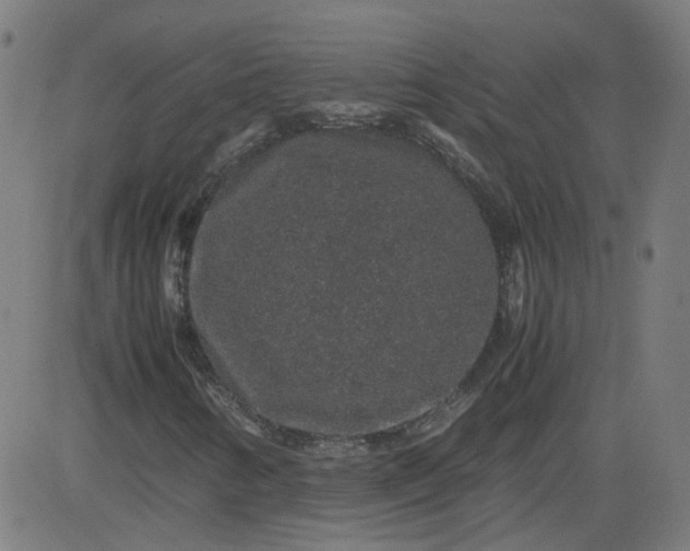 X0000082741346200702091853