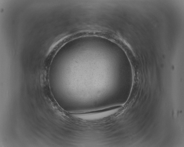 X0000082741352200702091853