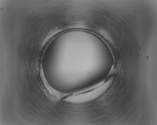 X0000082741356200702091853