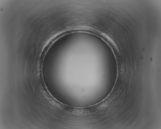 X0000082741364200702091853