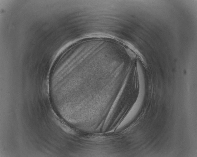 X0000082741372200702091852