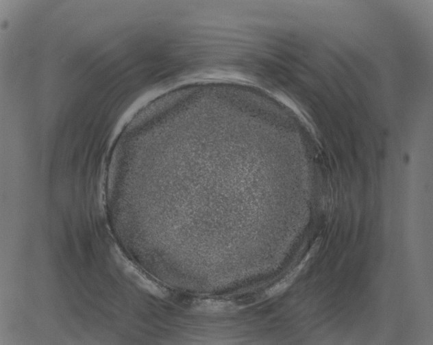 X0000082741374200702091852