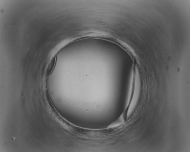 X0000082741375200702091852