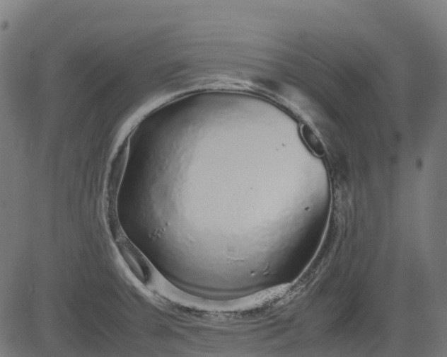 X0000082741379200702091852