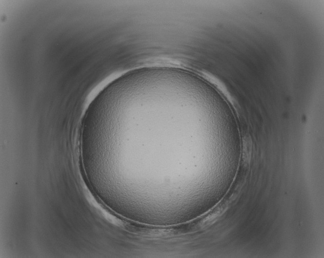 X0000082741387200702091852