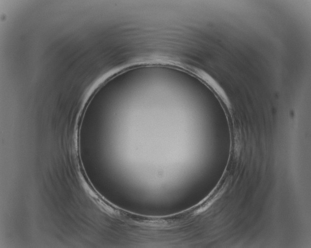 X0000082741388200702091852