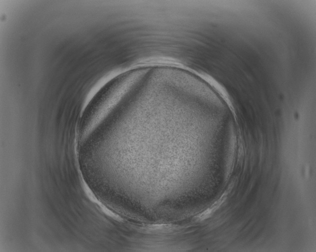 X0000082741390200702091852
