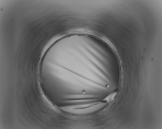 X0000082741392200702091852