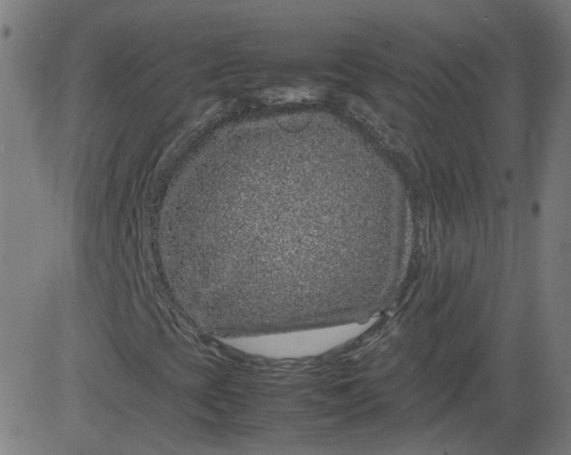 X0000082741393200702091851