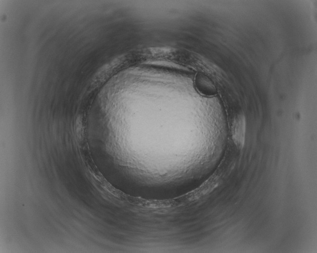 X0000082741395200702091851