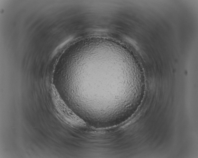 X0000082741403200702091851