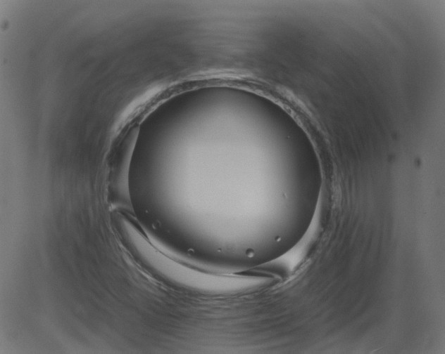 X0000082741406200702091852