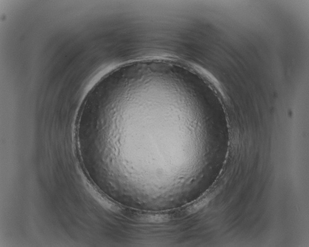 X0000082741423200702091852