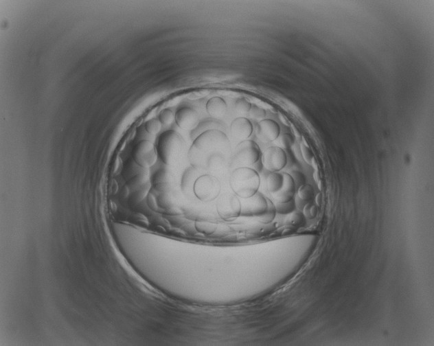 X0000082741432200702091852