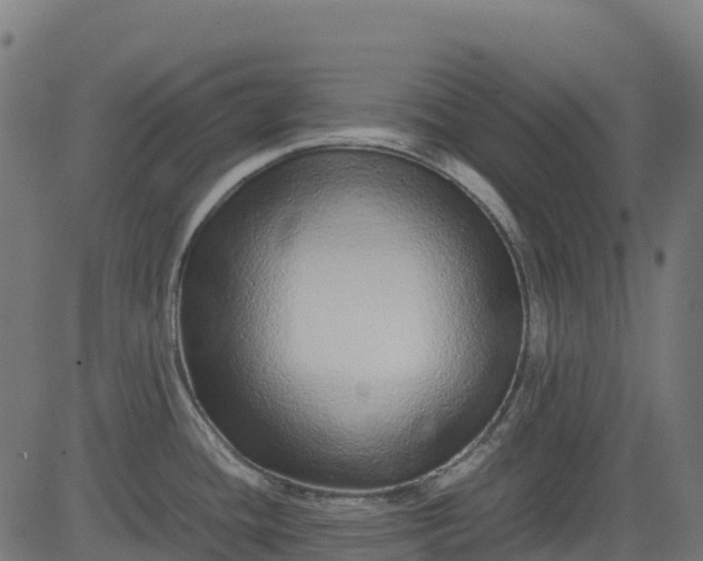 X0000082741436200702091852