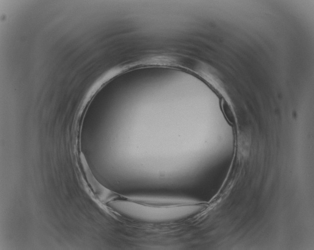 X0000082741437200702091852