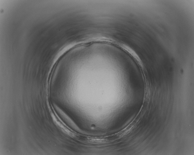 X0000082741439200702091852