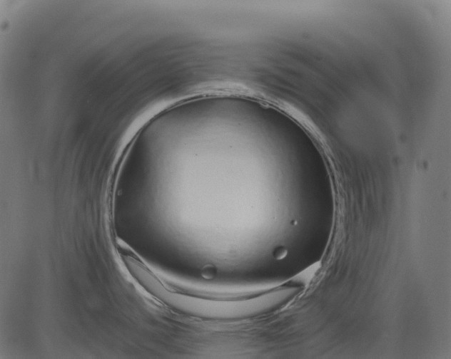 X0000082741440200702091852